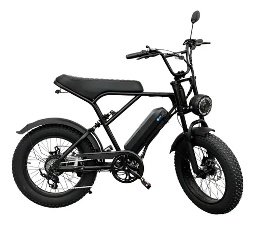 E-Bike V9H9 500W